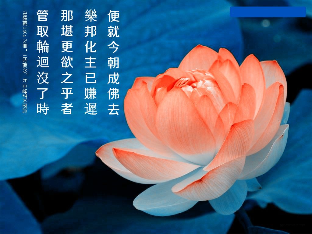 阿弥陀佛!的主播照片