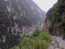 接受你的爱369主播照片