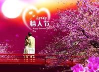 一棵树758的主播照片