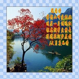 風残月孤水无痕主播照片