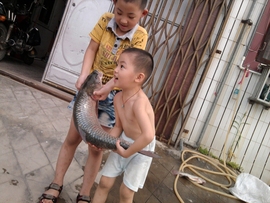 黑户。。。主播照片
