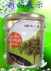 真帝漆主播照片
