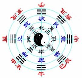 ❤玖伍清風￥主播照片