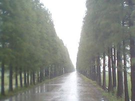 〝Ｓs．天地丶主播照片