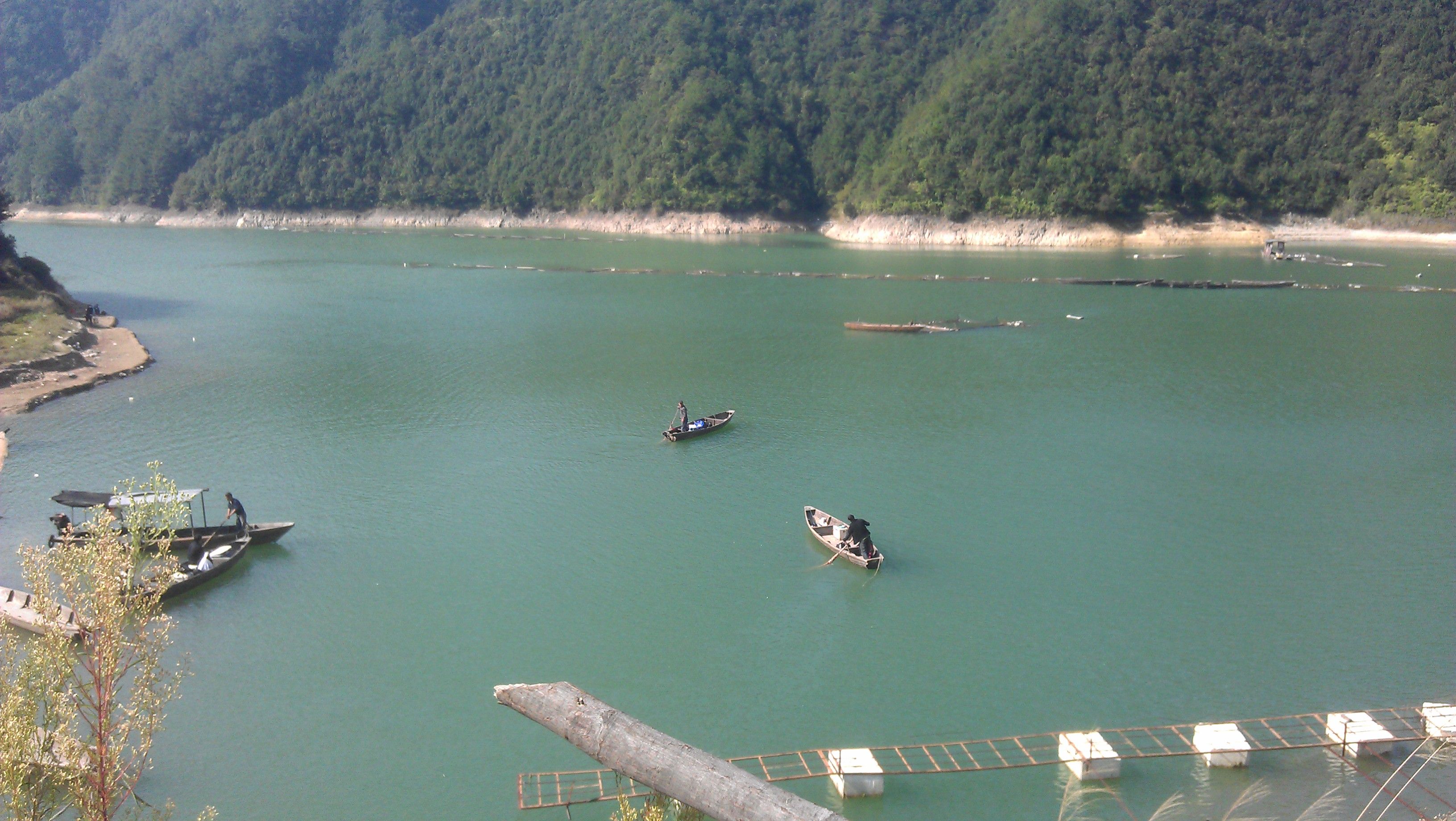 浙江小鹿主播照片
