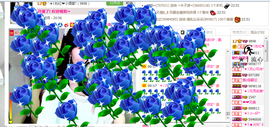 ︑★|粉红♥老阿姨⁰主播照片