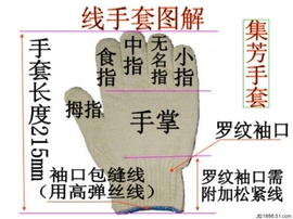 手套图样主播照片