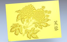 baihe主播照片