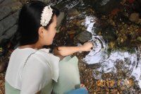 梨花雨﹌主播照片