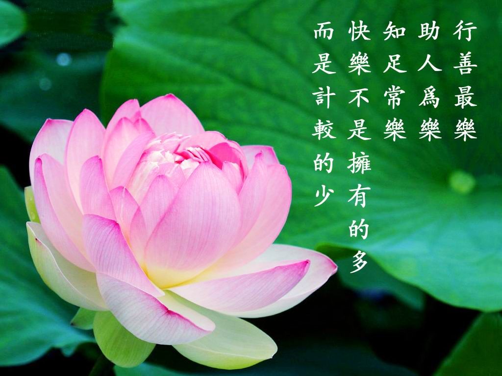 阿弥陀佛!的主播照片