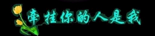 星光★一天的主播照片