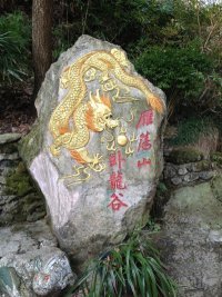 浅唱、若相依123主播照片
