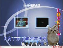 ★车奔IT★主播照片