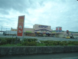 💕♥♡美子主播照片