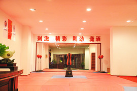 东营武术、圣龙武术主播照片