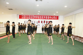 东营武术、圣龙武术主播照片