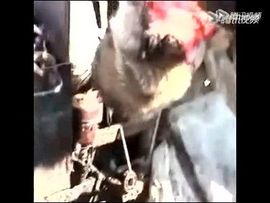 阳泉市——张北北主播照片