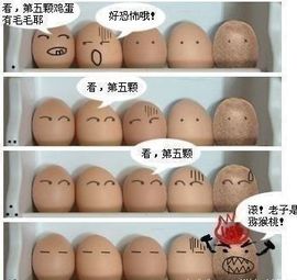 ❤❤爱猫♡老鼠主播照片