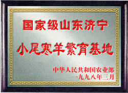 大型牛羊驴养殖场主播照片