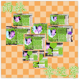 雨荨5198主播照片