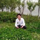忘我天尊海报