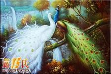 皮革化工主播照片
