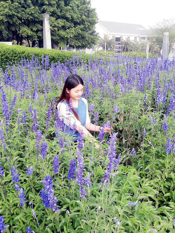 Flower_朵朵朵的主播照片