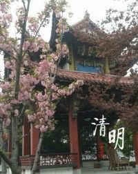 ︶少ゐゑ爺主播照片