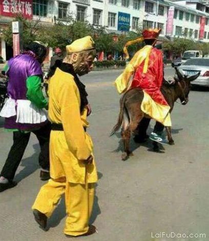 習慣有妮的图片