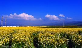 ☪☂九弟☂☀主播照片