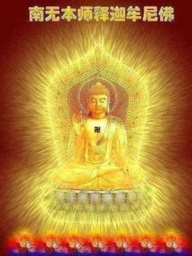 观我动态总会有些收获主播照片