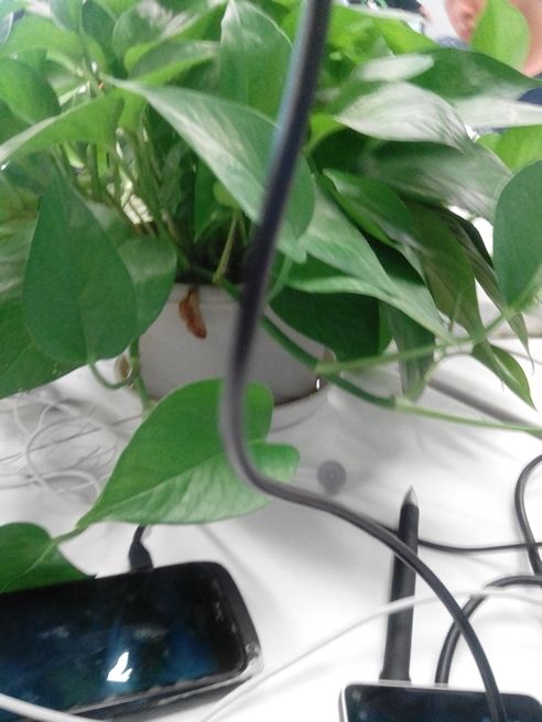spr的主播照片