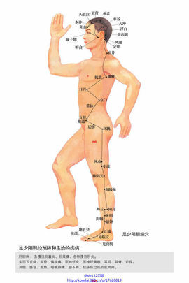 石头1126主播照片