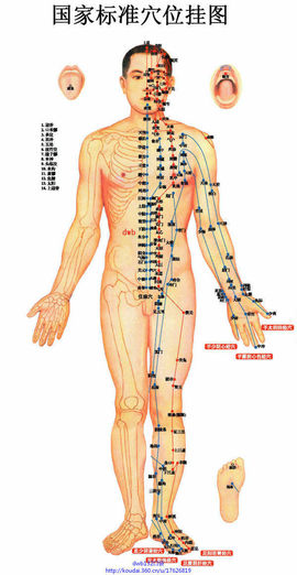石头1126主播照片