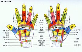 石头1126主播照片