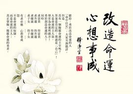 修清净平等觉主播照片