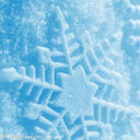 ☜❥明月飛雪☞