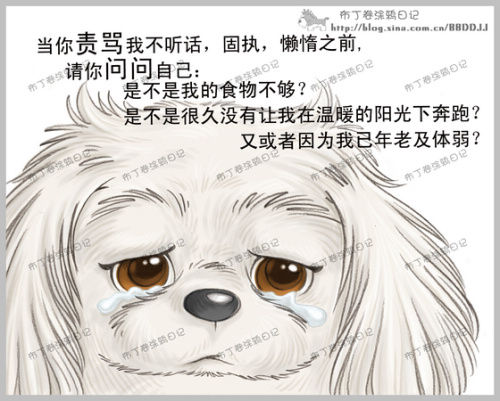 親密接觸@的主播照片