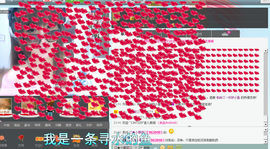 小鱼儿小白鲨主播照片
