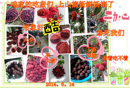 娴♫跑跑小虾花💝主播照片