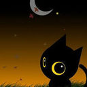 夜猫♠