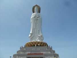 wed醉红尘主播照片