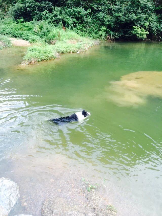 ♥╭静♥静♪♥的主播照片