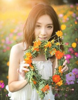 玫瑰花4113025主播照片
