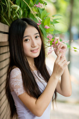 玫瑰花4113025主播照片