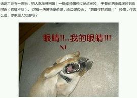 挂机机器人主播照片