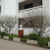 李标m