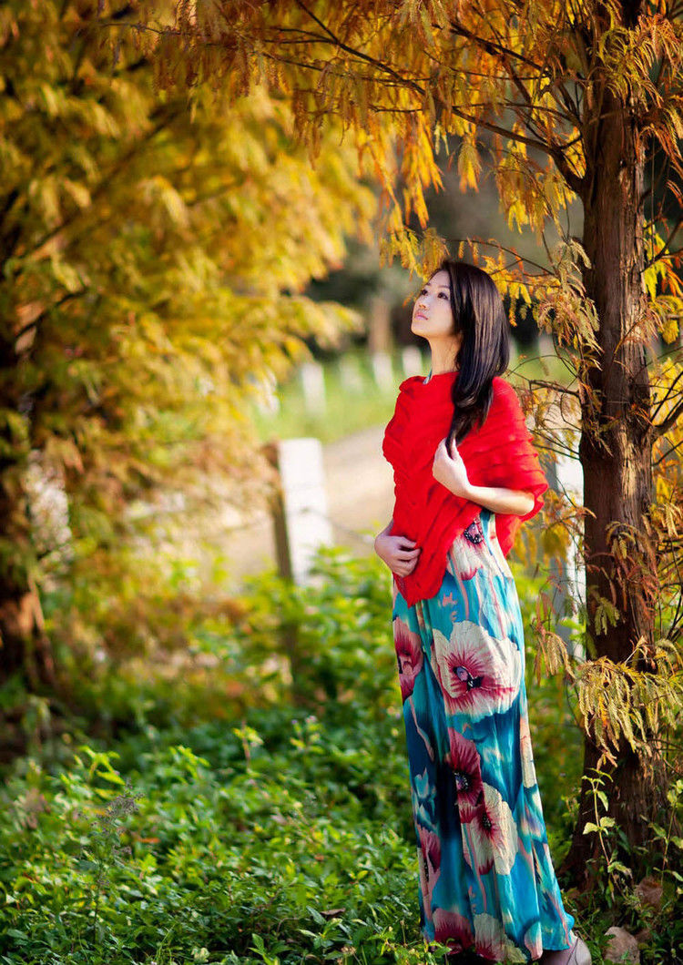 风中的风铃的图片