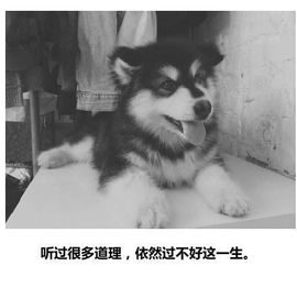 聂聂聂聂聂风主播照片
