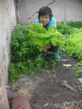 ◕‿-｡平阳公主主播照片